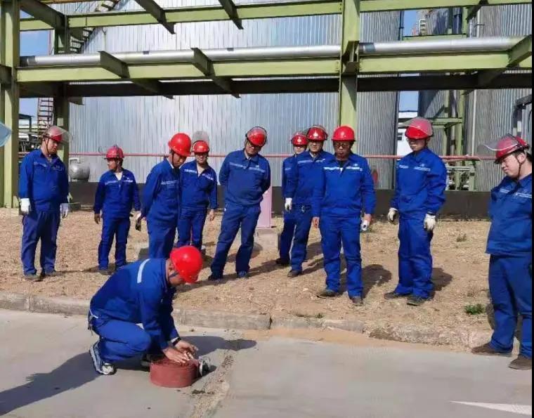 1623326951108898.jpeg 589.jpg