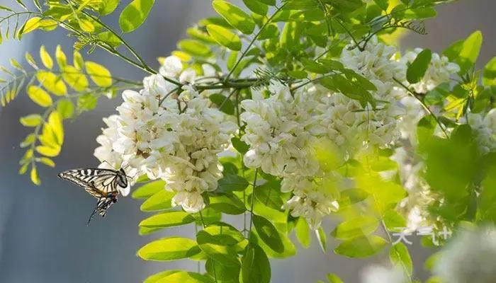 1623330405122751.jpeg 147.jpg