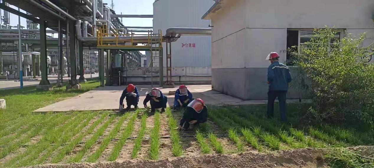 1628128659312995.jpeg 01诗歌.jpg