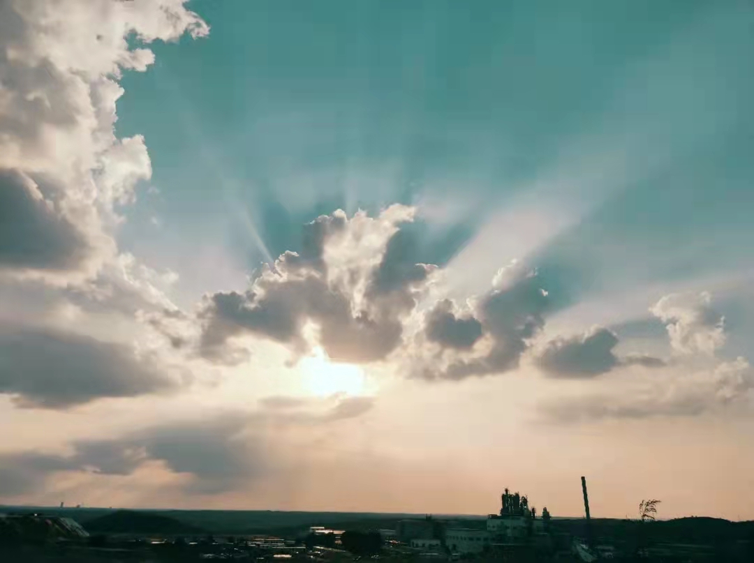 1644541263851701.jpeg 从大学到工作的转变.jpg