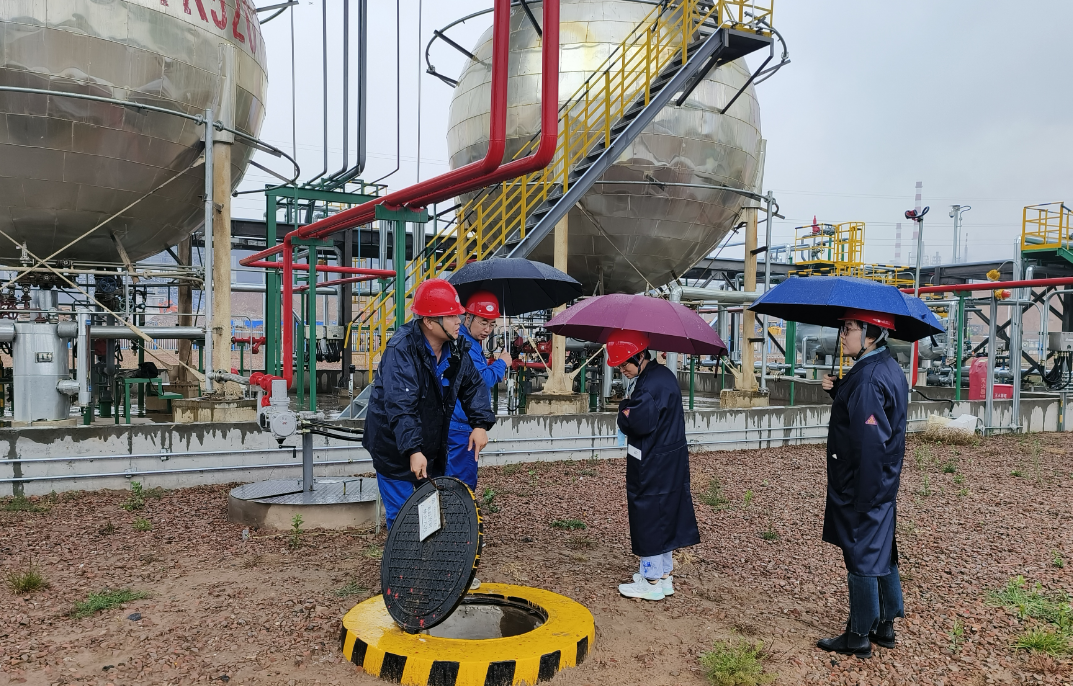 1697673971625871.png 01.png