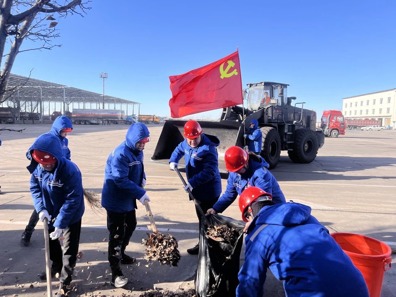 1733271612744433.jpeg 2.jpg