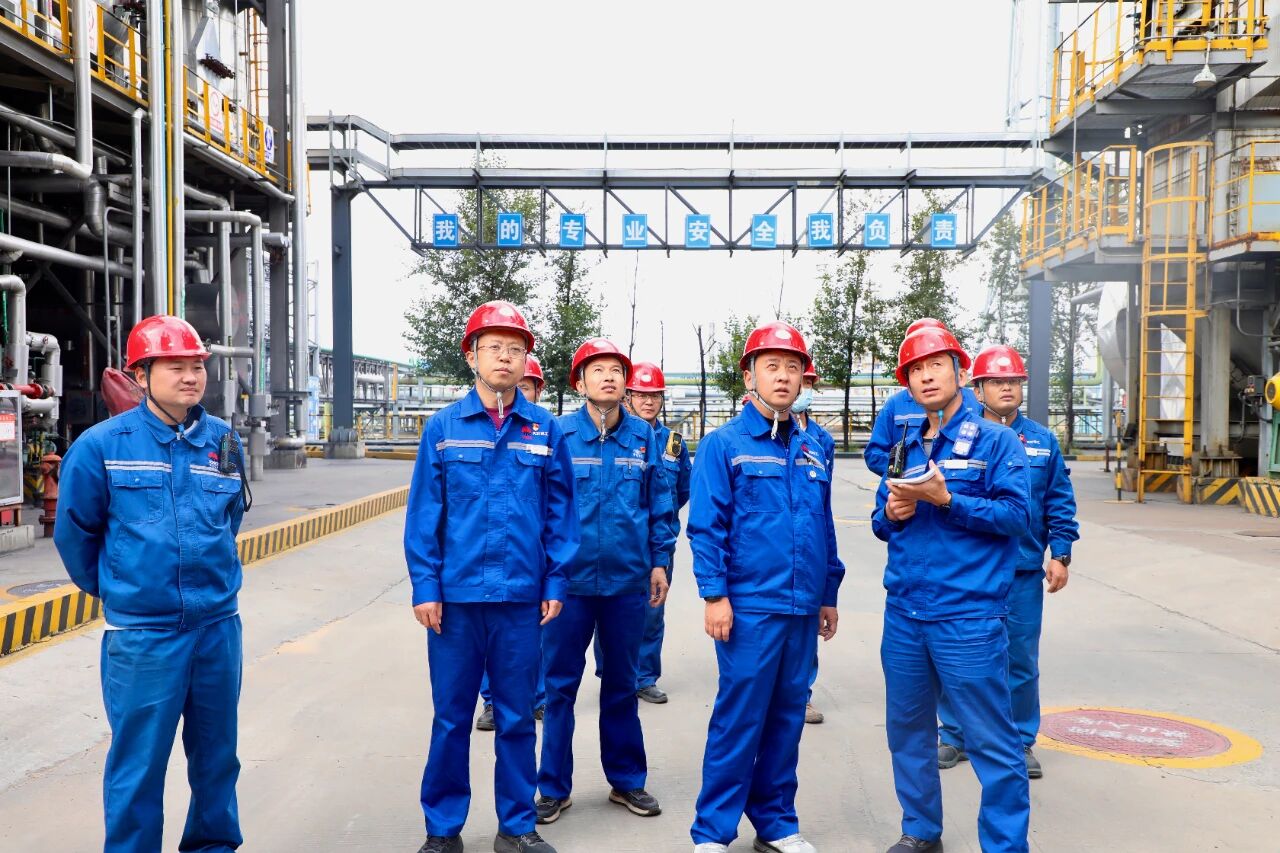 1760087375455016.jpeg 1760087375455016.jpeg