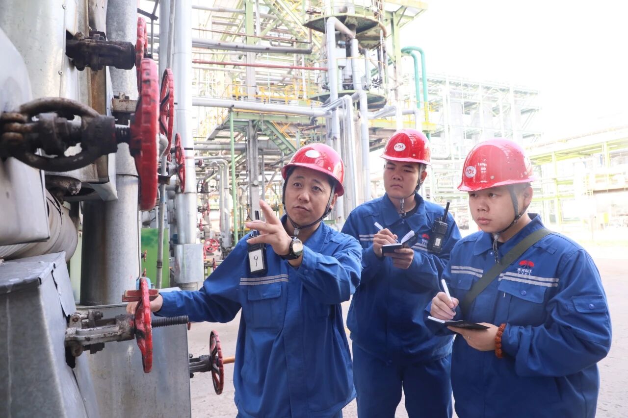 1766402124859312.jpeg 06.jpg