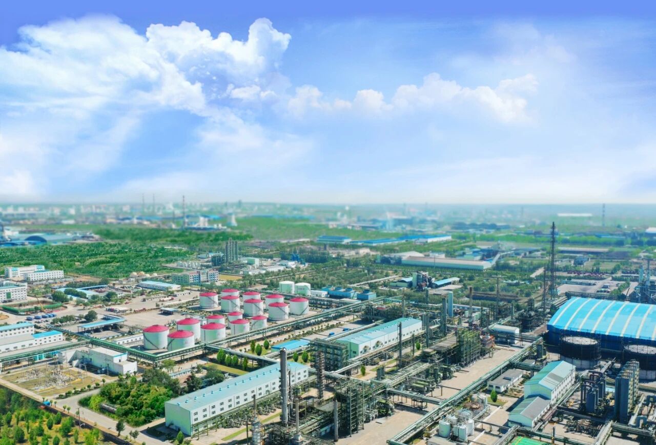 1775699343510494.jpeg 0.01.jpg