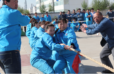 富策略bfball大白菜