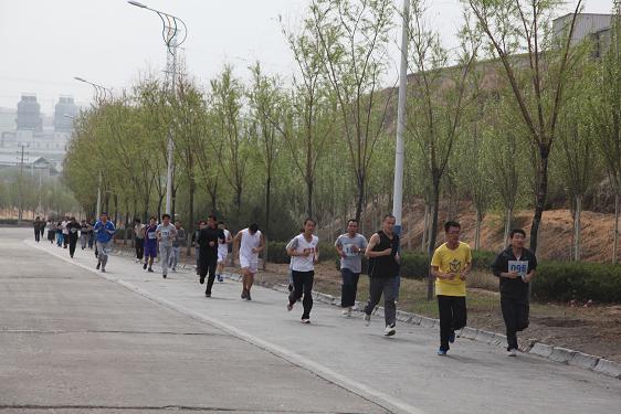 富策略bfball大白菜