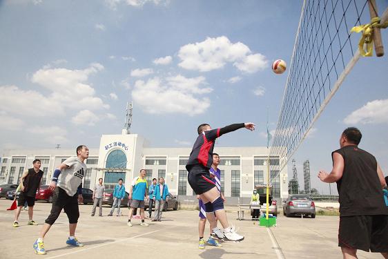 富策略bfball大白菜