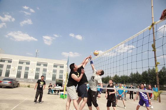 富策略bfball大白菜