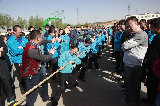 富策略bfball大白菜