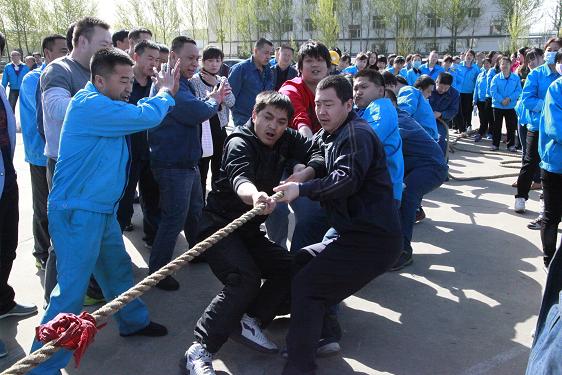 富策略bfball大白菜