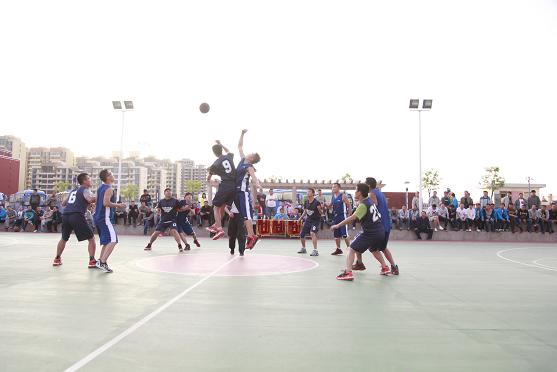 富策略bfball大白菜