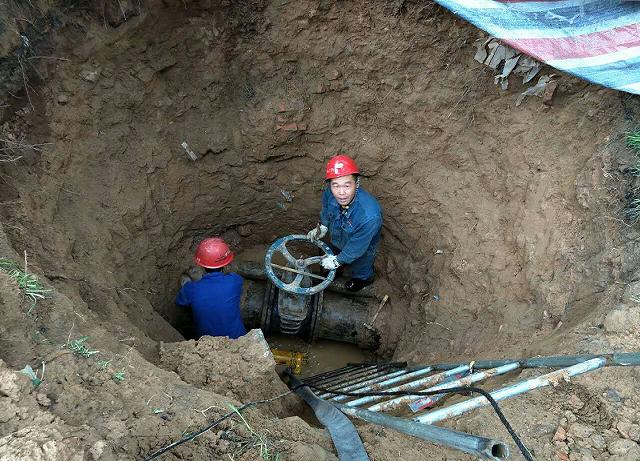 富策略bfball大白菜