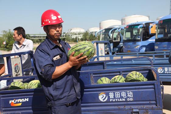 富策略bfball大白菜