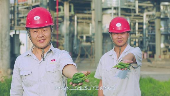 富策略bfball大白菜
