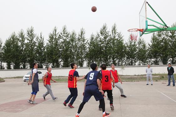 富策略bfball大白菜