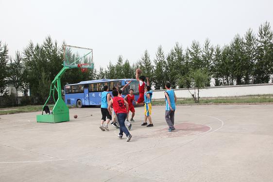 富策略bfball大白菜