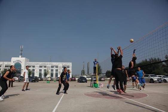 富策略bfball大白菜