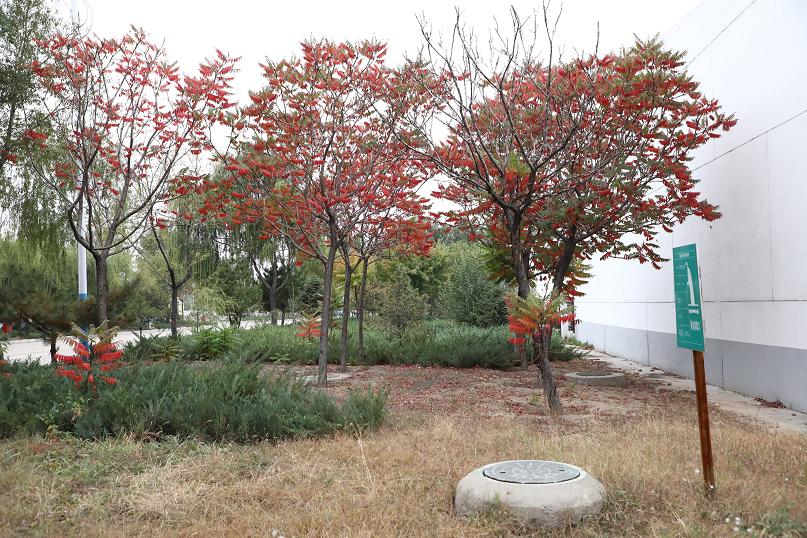 富策略bfball大白菜