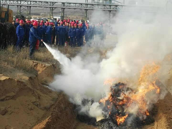 富策略bfball大白菜