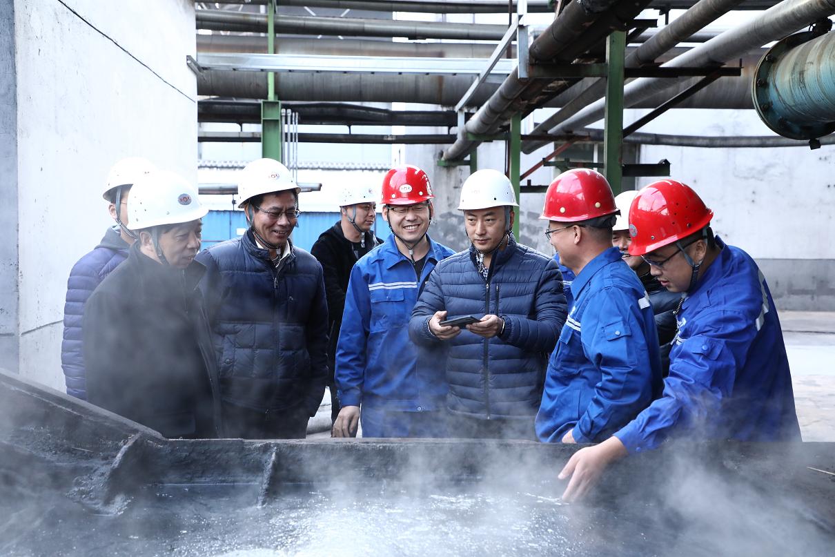 富策略bfball大白菜