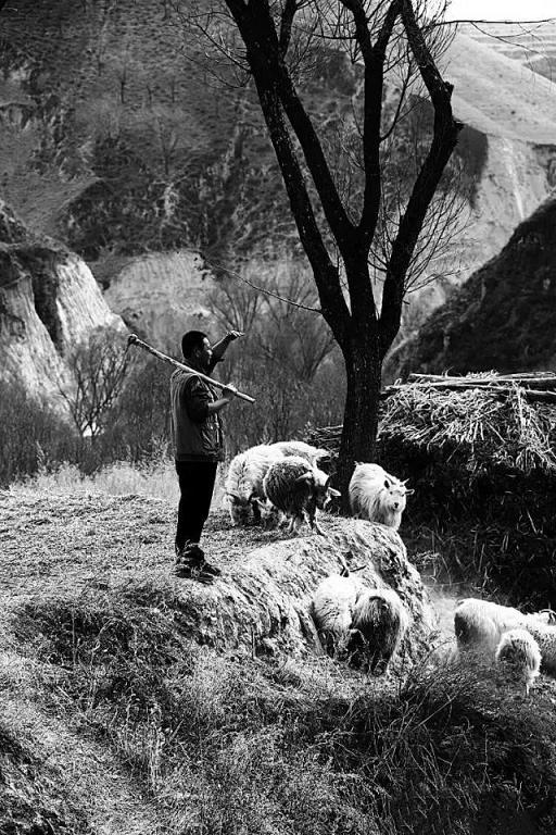 富策略bfball大白菜