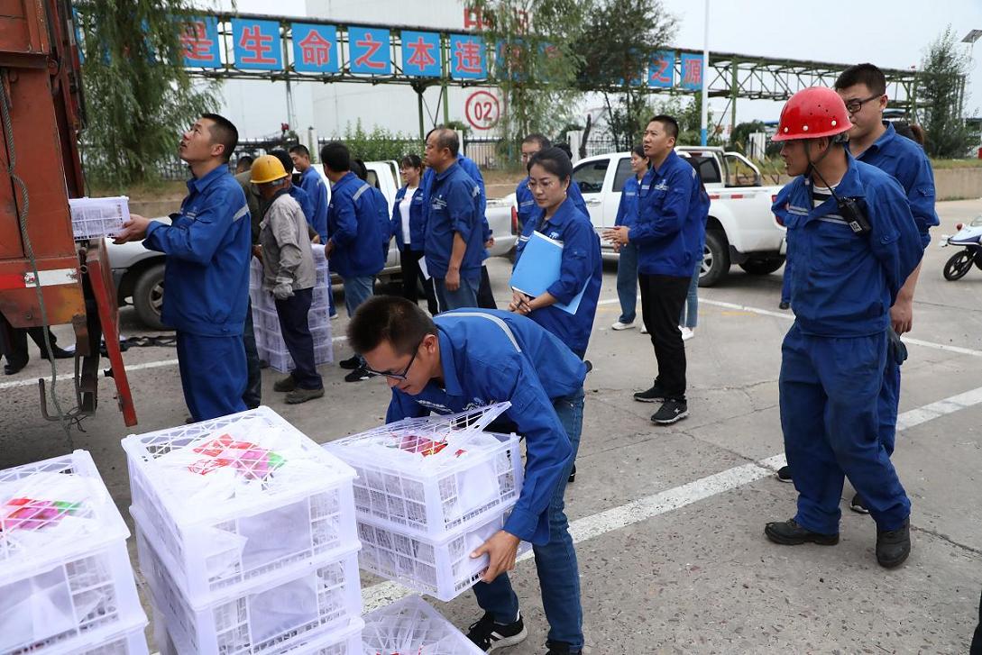 富策略bfball大白菜