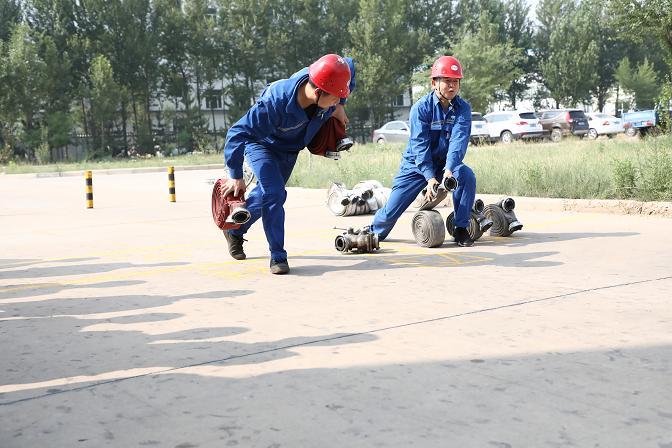 富策略bfball大白菜