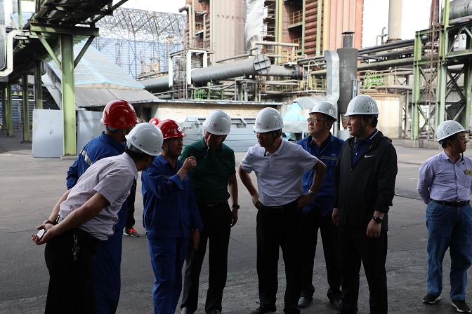 富策略bfball大白菜