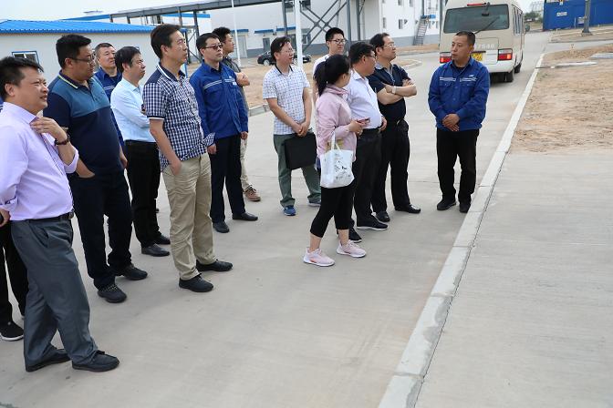 富策略bfball大白菜