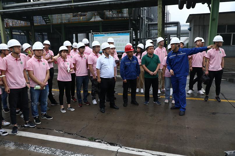 富策略bfball大白菜