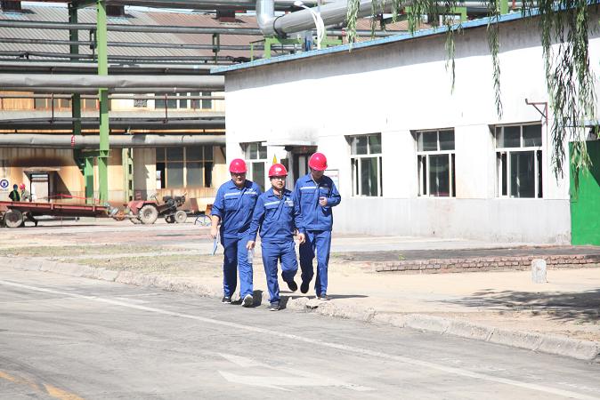 富策略bfball大白菜