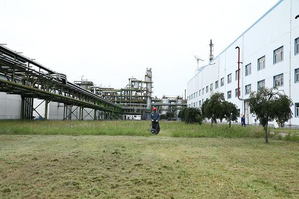 富策略bfball大白菜