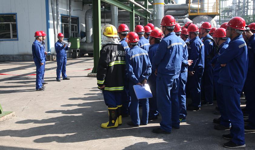 富策略bfball大白菜