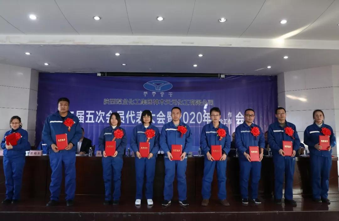 富策略bfball大白菜