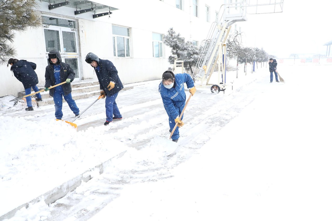 富策略bfball大白菜