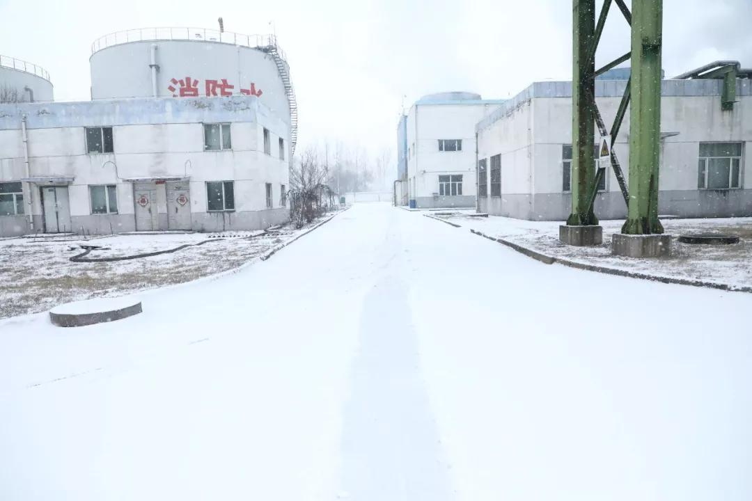 富策略bfball大白菜