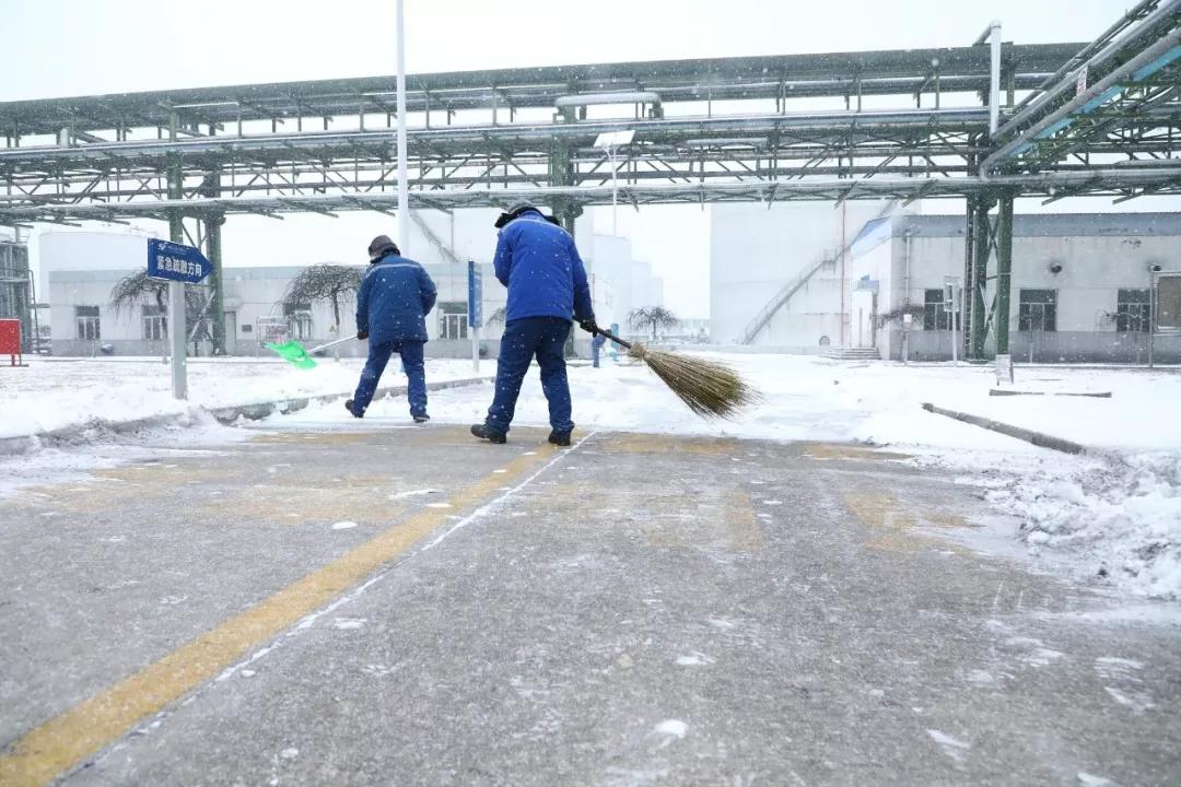 富策略bfball大白菜