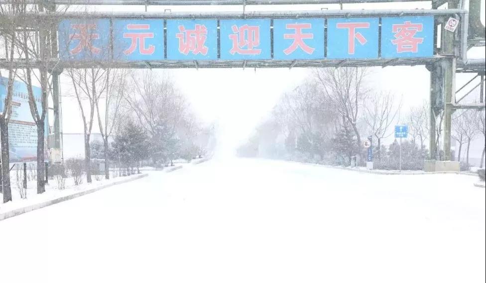 富策略bfball大白菜