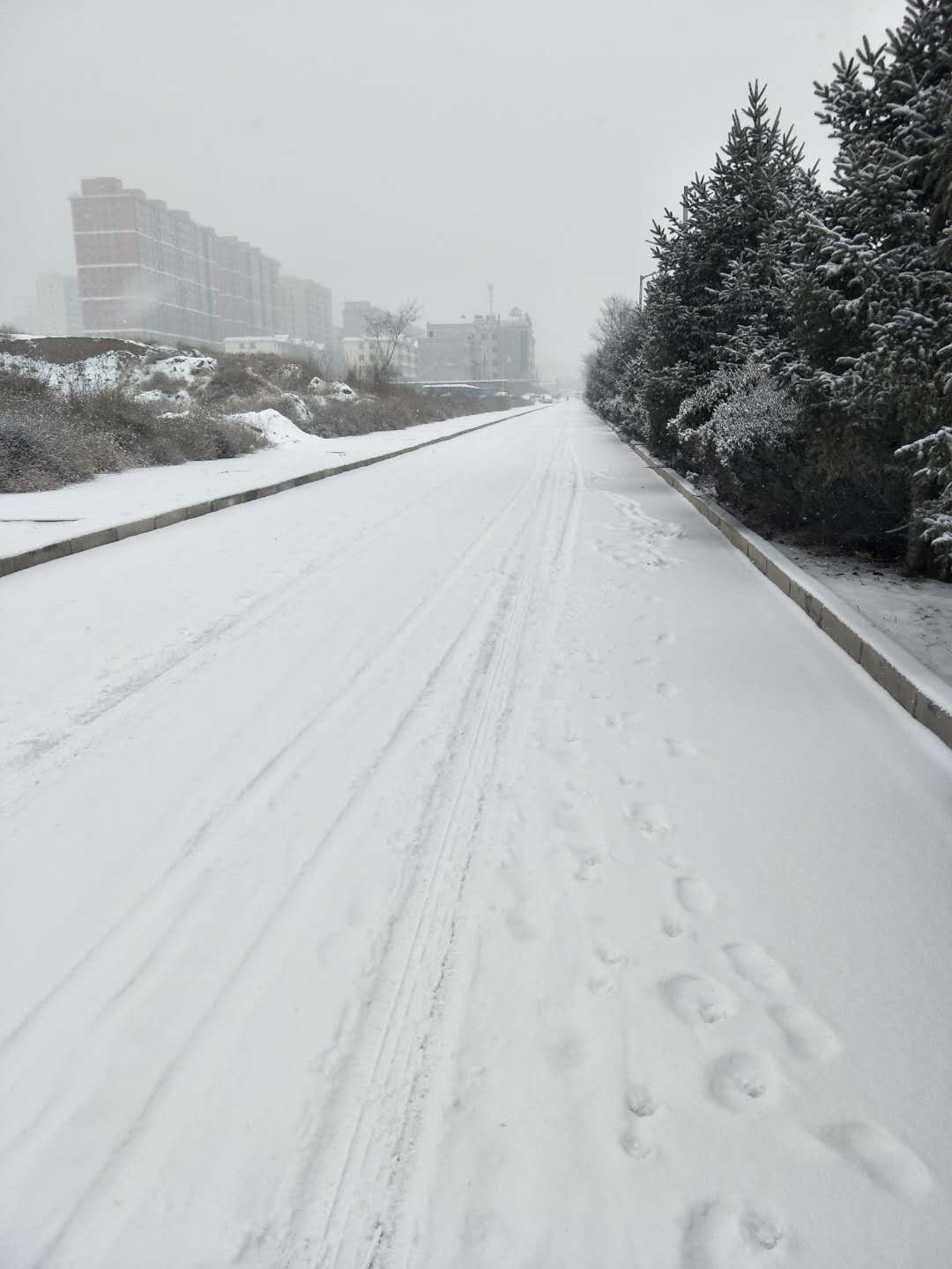 富策略bfball大白菜