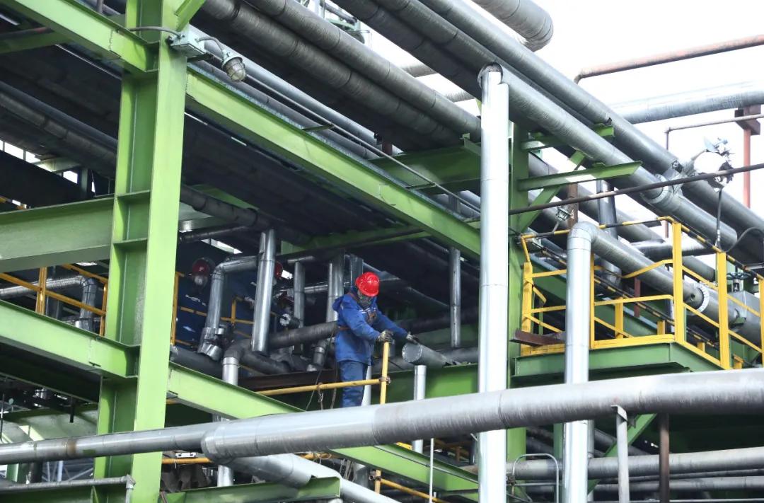 富策略bfball大白菜